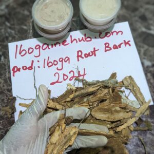 buy iboga root back