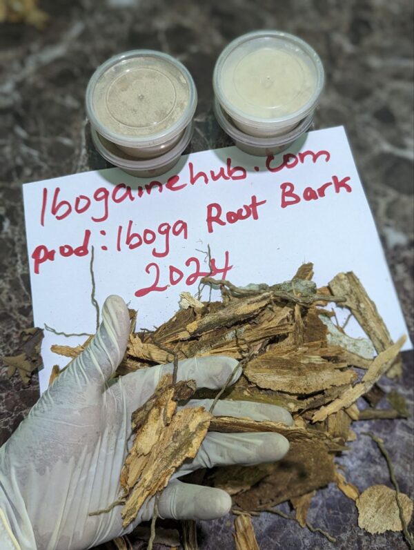 buy iboga root back